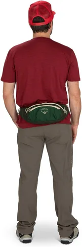 Vista 6 de Osprey Riñonera Daylite