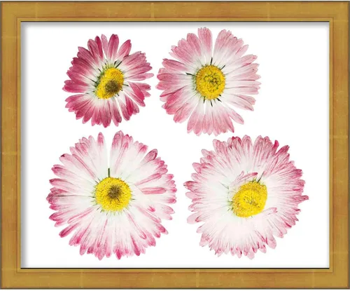 Vista 6 de Poster Palooza 3x4 Inch Shadow Box Gold Brushed Display Frame 1.25 Inch Deep Beveled 1.25 Inch Frame Moulding Width Includes Shatter Resistant