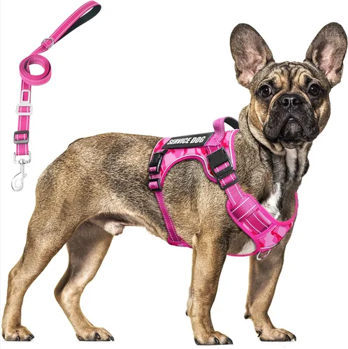 Vista 10 de Juego de arnés táctico y correa para perro de tamaño pequeño, chaleco resistente sin tirones para perro de servicio y 10 parches con cinturón