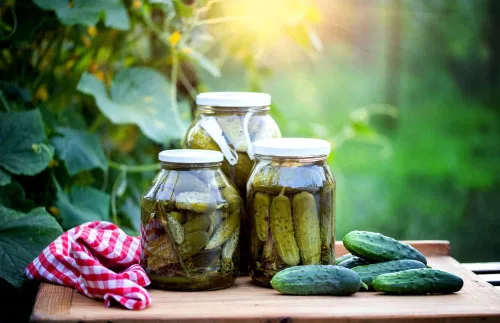 Vista 2 de Semillas nacionales de pepino encurtido para plantar, más de 75 semillas tradicionales por paquete, semillas de jardín de Isla
