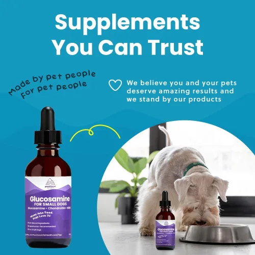 Vista 5 de Paramount Pet Health Glucosamina totalmente natural para perros – 260 mg de glucosamina para perros pequeños – Suplemento líquido