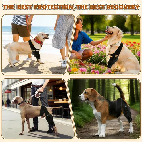 Vista 5 de Dog Hind Leg Support Brace, Adjustable Rear Leg Compression Wrap Adjustable Breathable Neoprene Rear Leg Support for Small, Medium & Large Dogs