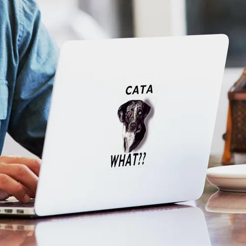 Vista 3 de CafePress Cata What - Adhesivo rectangular para parachoques