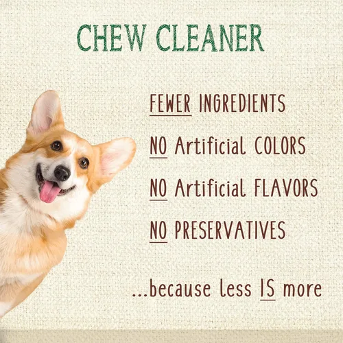 Vista 5 de Nylabone Nutri Dent Dog Dental Chews - Limpieza natural de dientes y ambientador de aliento - Golosinas dentales para perros - Sabor Filet Mignon