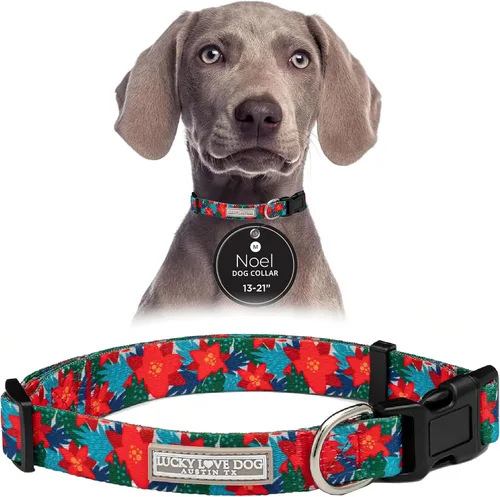 Vista 48 de Lucky Love Dog - Collar de perro ajustable con hebilla de fácil clic para los pequeños, duradero y cómodo para perros machos y hembras, collar