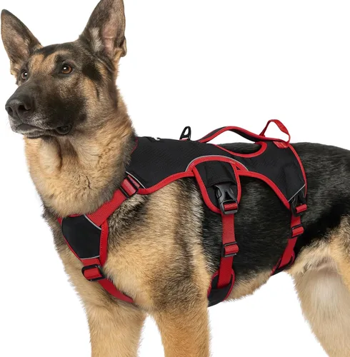 Vista 24 de rabbitgoo Arnés de perro a prueba de escape para pequeños, sin tirones con Negro