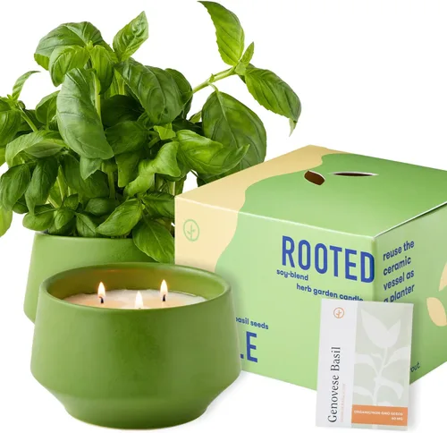 Vista 19 de Modern Sprout Maceta de vela de soja, crece albahaca, aroma a albahaca