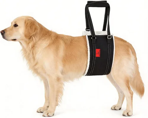 Vista 9 de Arnés de elevación para perros – Arnés ajustable para patas traseras con soporte suave para perros mayores, lesionados y discapacitados después