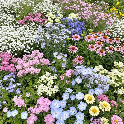 Vista 56 de Ferry Morse Mezcla para Todo Propósito Sol-Sombra a Granel Semillas de Flores Silvestres, 1 lb