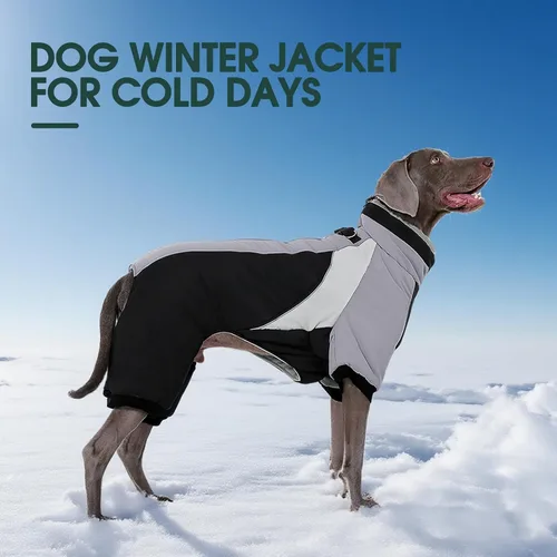 Vista 7 de Kuoser Abrigo de invierno para perro, chaqueta cálida impermeable, suave forro polar acolchado Ropa para perros con cremallera trasera fácil