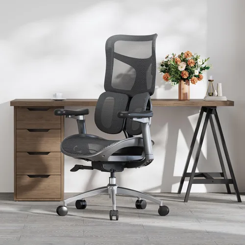 Vista 2 de SIHOO Doro S100 Ergonomic Office Chair - Dual Dynamic Lumbar Support, 4D Coordinated Armrests, 5-Level Adjustable Backrest, Recline Angle 135-degree