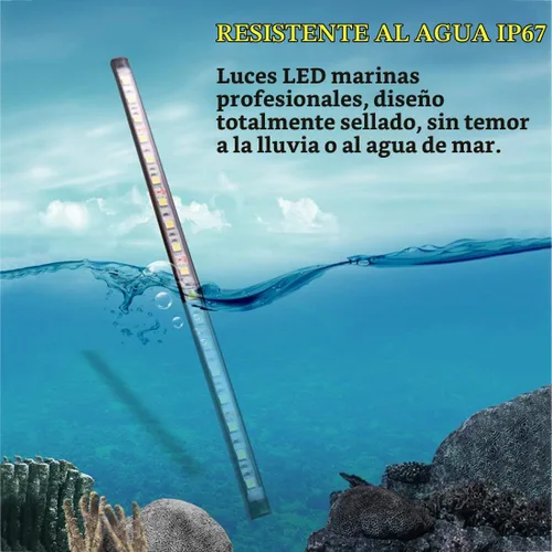 Vista 4 de Luces de navegación – Luces de proa LED, verde y rojo, pesca nocturna, cubierta, IP67 impermeable para pontón, bote auxiliar, kayak, barco Jon, yate