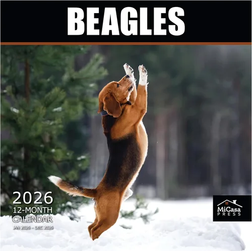 Vista 87 de MICASA PRESS Calendario de pared de Australian Shepherds Aussies 2027 02 - Pastores australianos