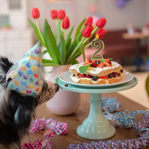 Vista 6 de Velas doradas de 70 cumpleaños para pasteles, velas con purpurina número 70 para fiestas, aniversarios, decoración de pasteles para mujeres u hombres