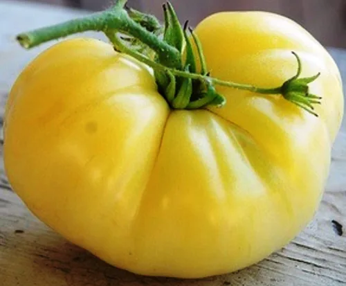 Vista 2 de Semillas Nieve Gran Bistec Blanco Tomate Heirloom Gigante Vegetal Sin OGM