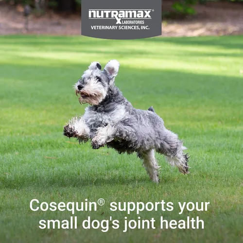 Vista 3 de Nutramax Laboratories Cosequin Plus MSM & Boswellia - Masticables suaves de tamaño mini
