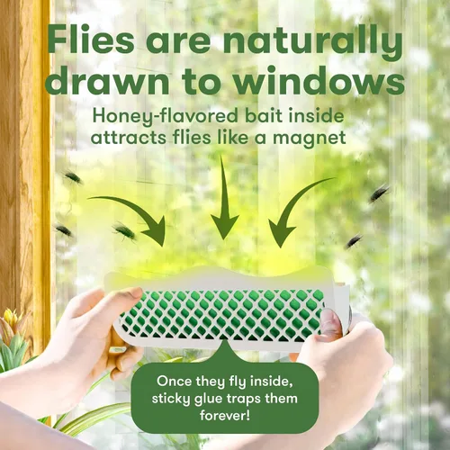 Vista 5 de BugMD Barfly - Trampas para moscas de ventana para interiores