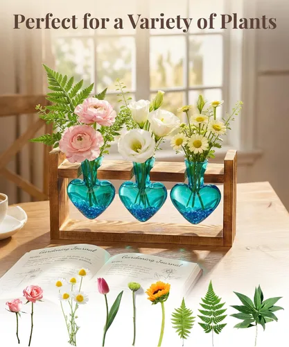 Vista 3 de Nacome Estaciones de propagación de terrarios de plantas: regalos del día de la madre para mamá, amantes de las plantas, mujeres, esposa, hija