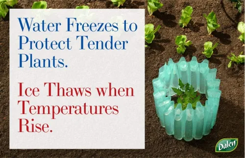 Vista 3 de Dalen Gardeneer Season Starter - Protector de plantas aislado para la temporada temprana - Protector contra heladas para clima frío - Forma de Azul