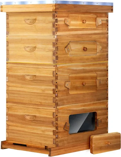 Vista 10 de BeeCastle Colmena Langstroth de 10 marcos con ventanas, colmena de abejas recubierta con cera de abejas para principiantes con marcos de colmena