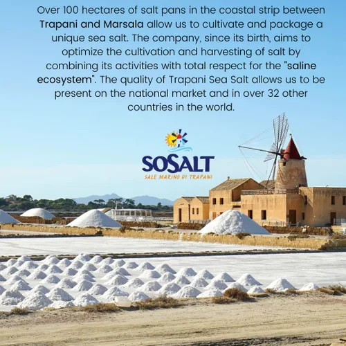 Vista 3 de SOSALT DAL MARE DI TRAPANI - Sal marina fina de Sicilia, (22.0 lbs) 22 lb Bolsa a granel para servicio de alimentos, todo natural, sal marina