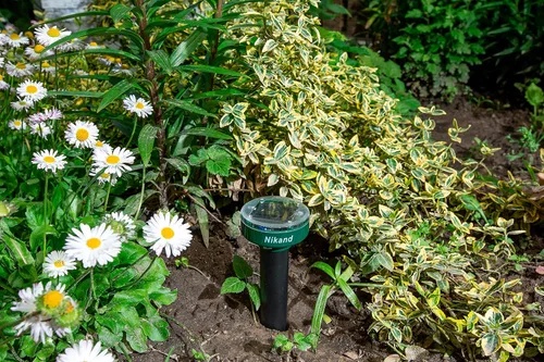 Vista 8 de Repelente de gotas ultrasónico alimentado por energía solar - Estacas repelentes de topos al aire libre seguras para mascotas - Repelente
