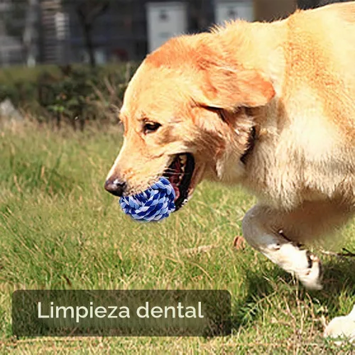 Vista 7 de Juguete masticable para mascotas, cuerda de algodón con tejido de nudos, bola pequeña para perros y gatos, paquete 3 en uno