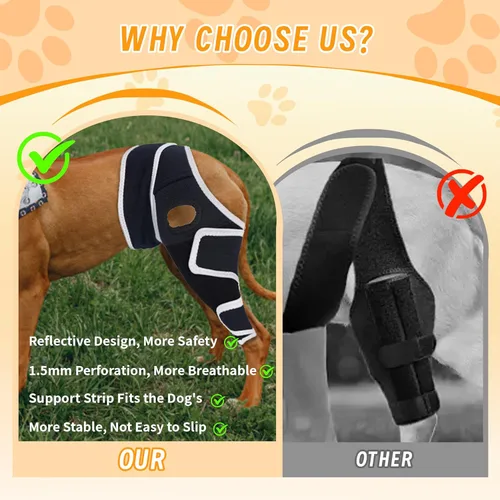 Vista 4 de Rodillera ajustable para perro para lesiones de acl y articulaciones, promueve la curación después de la cirugía, estabiliza las piernas delanteras