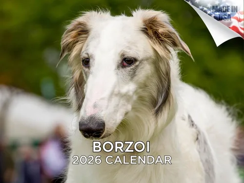 Vista 118 de Calendario de Lebrel Afgano 2025 2026, calendario mensual de pared de raza canina, 12" x 18" abierto, papel grueso sin traspaso, ideal para regalo