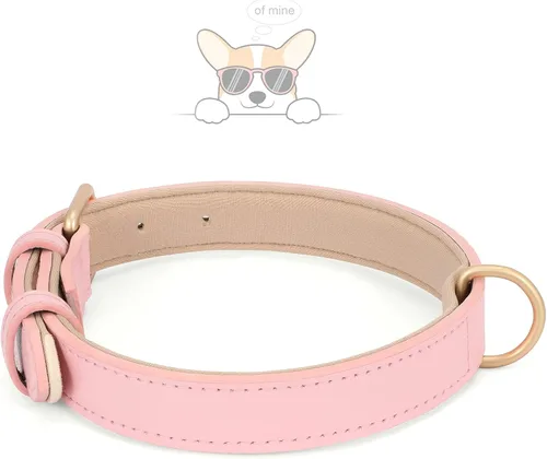 Vista 3 de WHIPPY Airtag Collar de Cuero para Perro Rastreador GPS Air Tag Collar de Cachorro Ajustable de Cuero Suave Acolchado con Estuche Porta Airtag