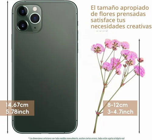 Vista 5 de 50 piezas de flores secas prensadas para el aliento del bebé Mini Rosa