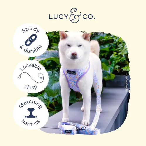 Vista 3 de Correa para perros de diseño Lucy & Co. - Accesorios para mascotas - Correa gruesa para perros - Asa acolchada para mayor comodidad - Entre