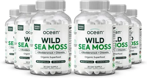 Vista 9 de Cápsulas de musgo marino salvaje orgánico de Organics Ocean - Musgo marino irlandés 100% orgánico con clorella orgánica, fucus y vitamina D