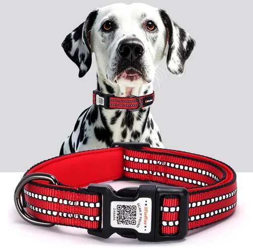 Vista 11 de Collar de perro personalizado ilFindYou con etiqueta de código QR para identificación de mascotas, collar reflectante de seguridad, adecuado