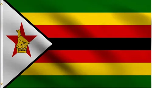 Vista 34 de DMSE - Bandera nacional beninesa beninesa de la República de África Occidental, 2 x 3 pies, 100 % poliéster, 100 % poliéster, resistente a los rayos