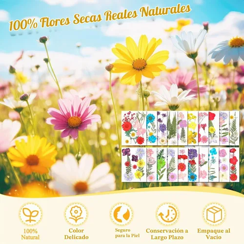 Vista 4 de Evatage - 200 flores secas prensadas pequeñas para manualidades de resina 200 piezas de flores prensadas