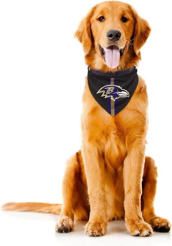Vista 10 de Bandana de la NFL Team Dog, Rojo, S Arizona Cardinals