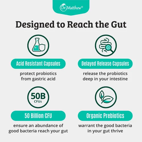 Vista 5 de Prebióticos y probióticos: Lactobacillus Gasseri, Lactobacillus Rhamnosus, Plantarum, Casei, Bifidobacterium longum, lactis, infantis. Prebióticos