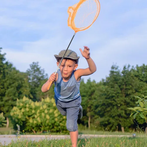 Vista 8 de TENDYCOCO Red de captura telescópica con cubos, kit de captura al aire libre para niños y adultos, red de pesca de malla fina para insectos
