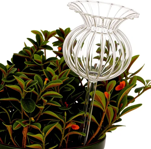Vista 2 de Adabocute Globos de riego automático para plantas, picos de riego automático con corchos, dispositivos de bombillas de agua de vidrio transparente