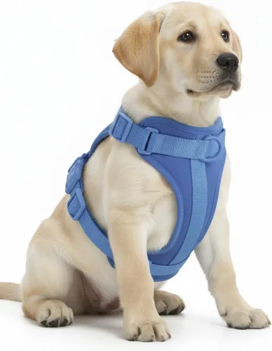 Vista 18 de Dog Harness - No Pull Adjustable Front Clip Vest with Soft Padding, 3Leash Clips, and No-Choke Oxford Design Comfort for Small, Medium, and Large