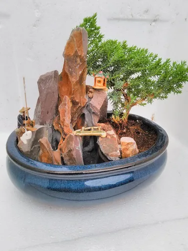 Vista 2 de jmbamboo -bonsai- Jardín Zen de árbol de enebro con piscina Fishman