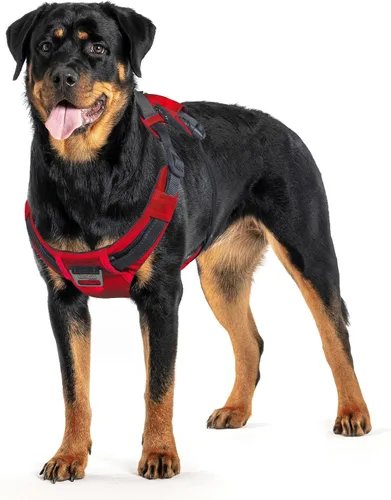 Vista 9 de Outward Hound Boulder Adventure - Arnés ajustable para perro con bolsillos, turquesa, mediano