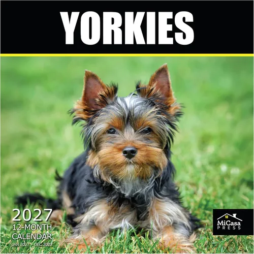 Vista 84 de MICASA PRESS Calendario de pared de Australian Shepherds Aussies 2027 02 - Pastores australianos