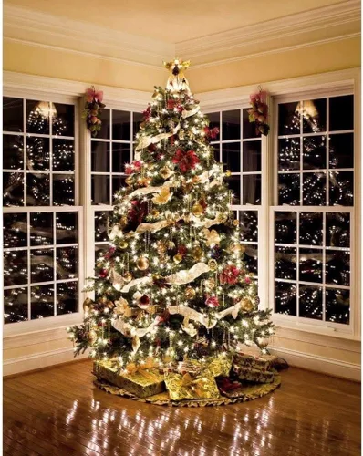 Vista 5 de Novelty Lights 11 pies 50 bombillas Luces mini tradicionales incandescentes, transparentes en cable verde con espaciado de 2.5", grado comercial