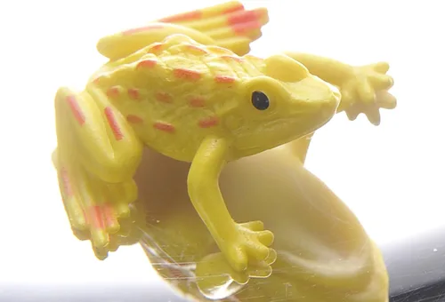 Vista 4 de PowerTRC Mirascopio 3-D de 6 pulgadas, creador de ilusiones ilusiones ópticas Juguete de efecto 3D