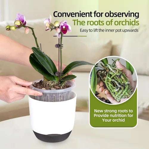 Vista 3 de QCQHDU 2 Pack 5.7 Inch Orchid Pots with Holes for Repotting, Double-Layer and Self Watering Orchid Pot with Good Air Circulation Blanco y negro
