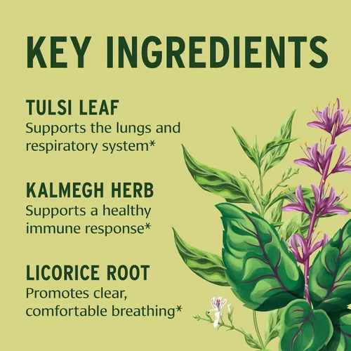 Vista 2 de Banyan Botanicals Inmune fuerte orgánico – Defensa sistémica y fortificación celular – con cúrcuma, Tulsi y Ashwagandha para apoyo inmunológico