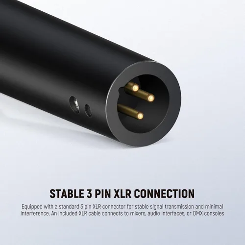 Vista 5 de NEEWER DM01 Micrófono dinámico cardioide con cable XLR para podcast, PC, juegos, transmisión, voz de estudio, discursos, actuaciones en vivo, 600Ω