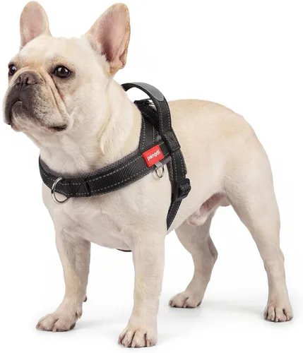 Vista 11 de Arnés para perro sin tirón con asa, chaleco reflectante ajustable Corgi, arnés para mascotas acolchado con malla de aire transpirable con clip